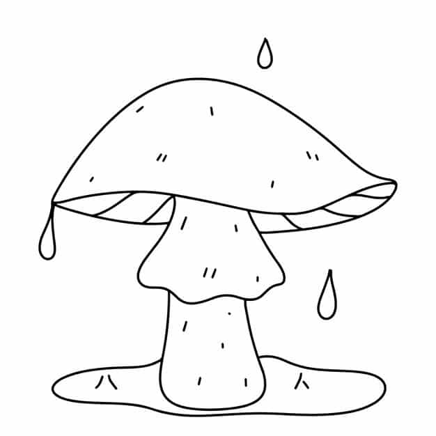 mushroom autumn element hand drawn doodle style vector illustration isolated white coloring page 515275 2046