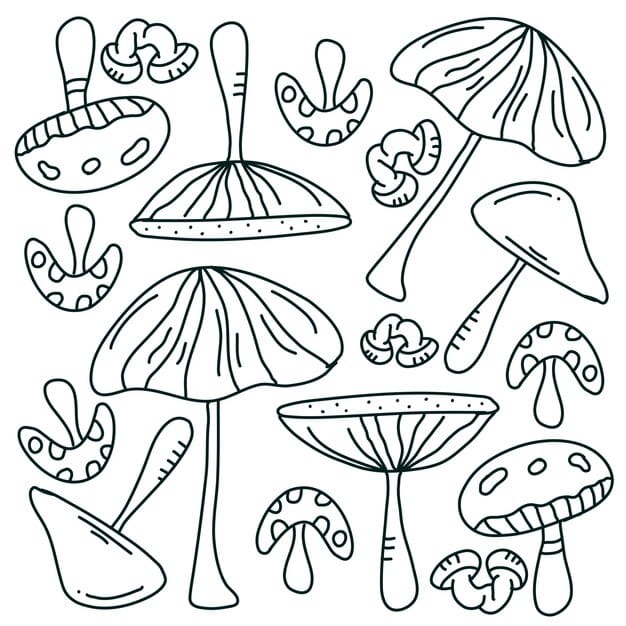 mushroom plant set vector design 548646 4808