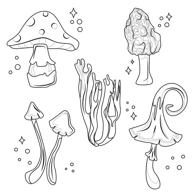 outline drawing unusually shaped mushrooms suitable coloring 700253 1108