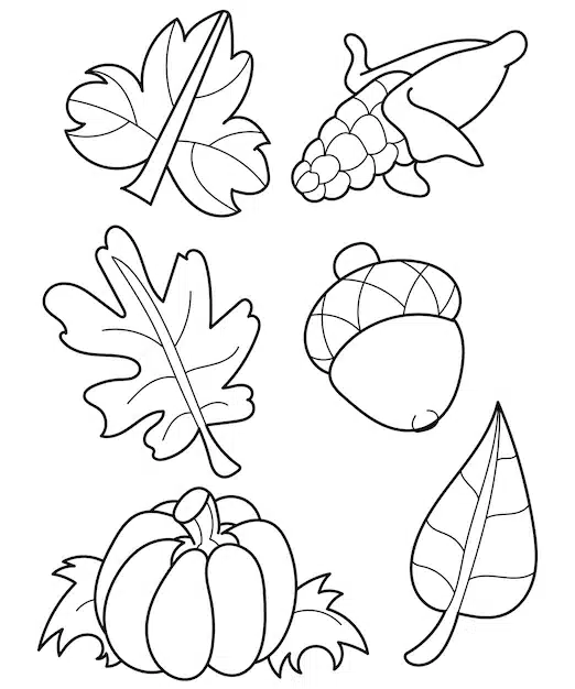 outlines autumn leaves element coloring page 690954 42