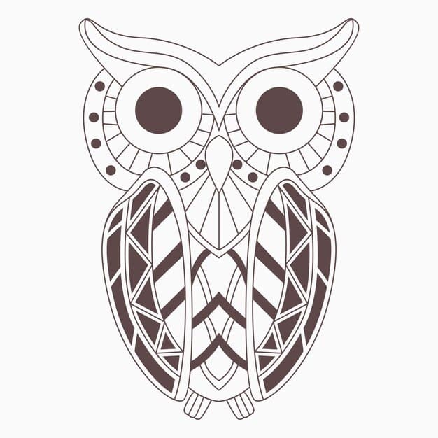 owl 32136 246