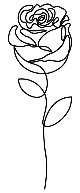 single line rose with stem drawing 646528 394