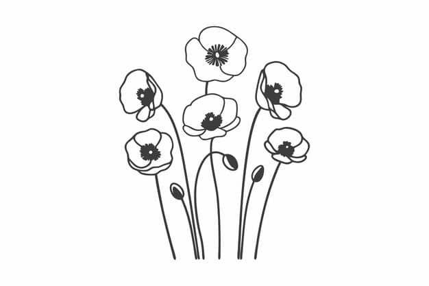 six poppy flower bouquet silhouette vector design white background 146454 1513