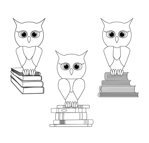 sketch set wise owls stack books vector outline owl character black line flat style 92529 858