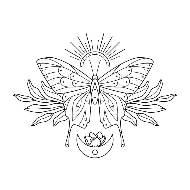 stylized celestial illustration butterfly florals mystic line art butterfly with leaves sun moon 124013 852