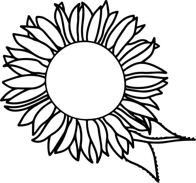 sunflowers design 1091945 1539