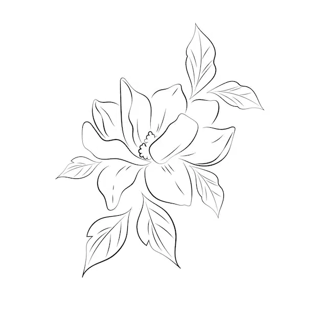 vector illustration flower line art 341269 1361