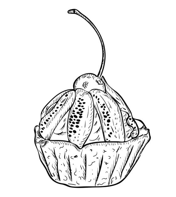 vector illustration isolated cupcake basket with cream kiwi confectionery cherries black white colors original outline hand painted drawing 501974 704