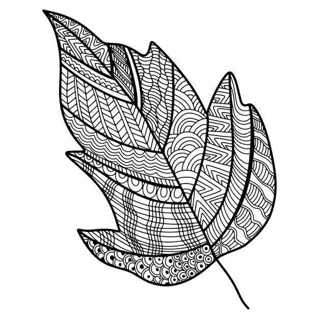 vector zen tangle doodle leaf nature coloring book black white zentangle doodle handdrawn il 97729 1160