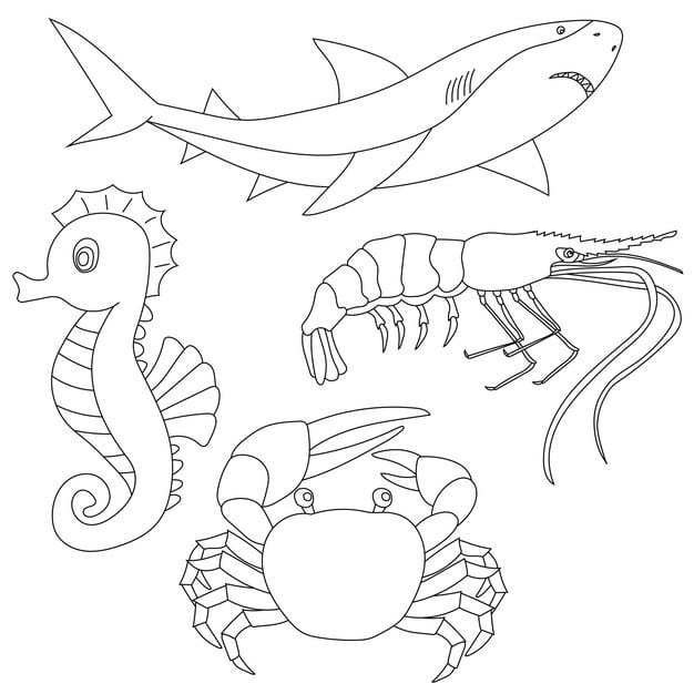 aquatic animals clipart set sea life ocean creatures 940253 1383