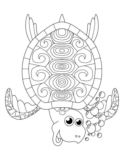 black white drawing turtle turtle hand drawn turtle coloring page 814149 262