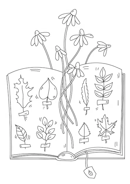 coloring page adults children features herbarium autumn leaves shirts book 156881 14227