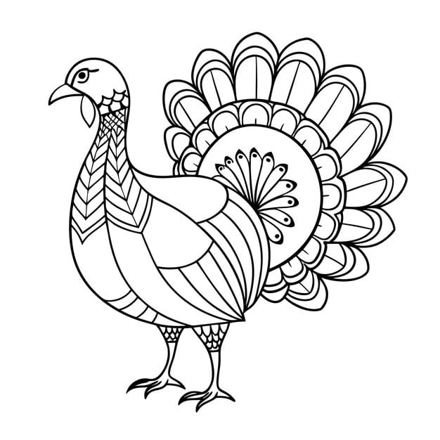 decorative tribal turkey line art illustration 852896 27567