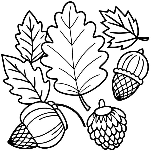 emblem doodle depicts leaves fruits oak tree acorns contour image 579306 2117