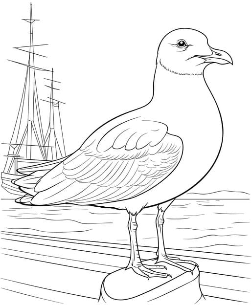 gull bird coloring page vector illustration 359477 92