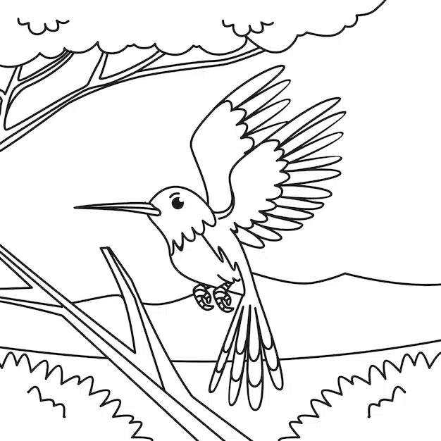 hand drawn hummingbird outline illustration 23 2150625396