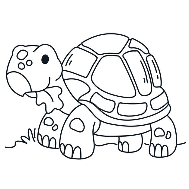 hand drawn turtle outline illustration 23 2149266714