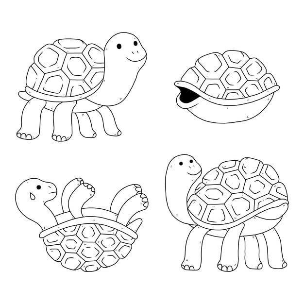 hand drawn turtle outline illustration 23 2149280059