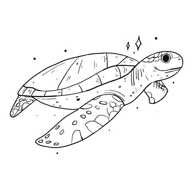 hand drawn turtle outline illustration 23 2149288676