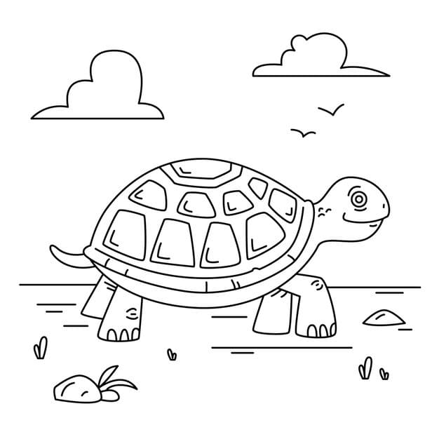 hand drawn turtle outline illustration 23 2149293032