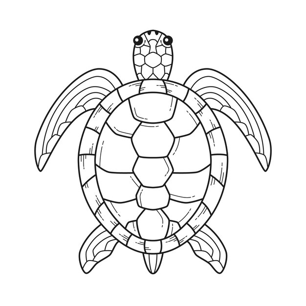 hand drawn turtle outline illustration 23 2149300955