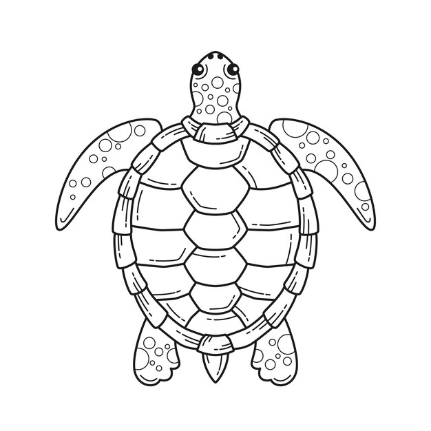 hand drawn turtle outline illustration 23 2149300956