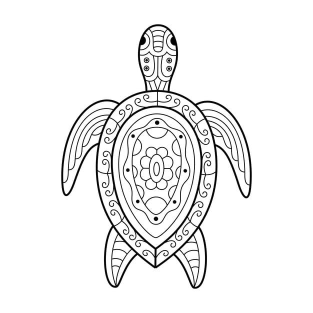 hand drawn turtle zentangle style 194935 533