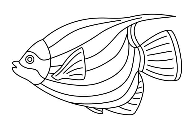 tropical fish hand drawn line art coloring page 1103493 215