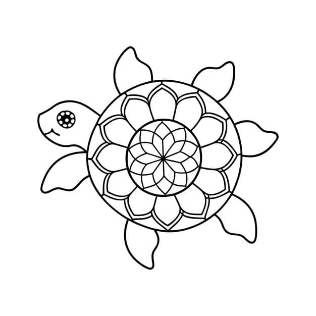 turtle coloring page kids simple art with geometric flower mandala pattern 708456 492