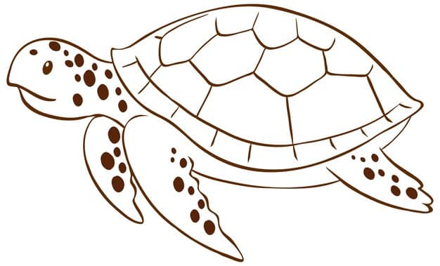 turtle doodle simple style white background 1308 87167