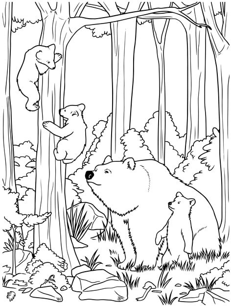 vector hand drawn family brown bears outline illustration 593586 127