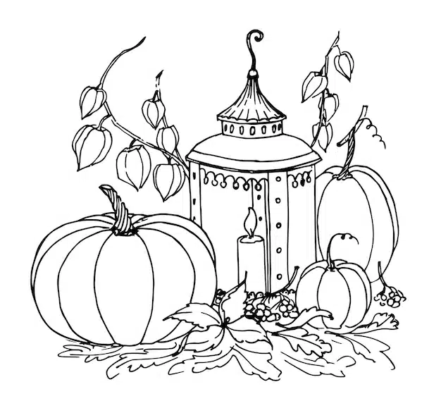 vector sketch autumn pumpkin vintage lantern halloween thanksgiving day hand drawn linear botanical illustration harvest festival black drawing white isolated background 616608 238